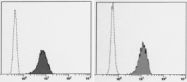 AM26551FC-S - CD59