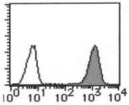 AM26554AF-N - CD298 / ATP1B3