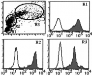 AM26554AF-N - CD298 / ATP1B3