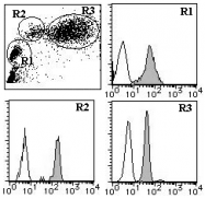 AM26554FC-S - CD298 / ATP1B3