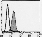 AM26624AF-N - CD148 / PTPRJ