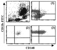 AM26624AF-N - CD148 / PTPRJ