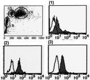AM26624FC-N - CD148 / PTPRJ