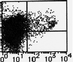 AM26635AF-N - CD11c