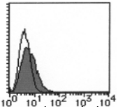 AM26635BT-N - CD11c
