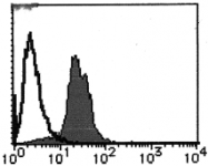 AM26674AF-N - Cyclin D1