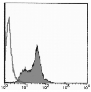 AM26681AF-N - Bromodeoxyuridine (BrDU)