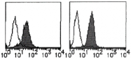 AM26694AF-N - MICA + MICB