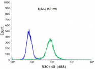 AM32431PU-N - EPHA2 / ECK