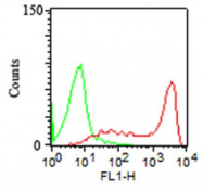 AM32858PU-T - CD45 / LCA