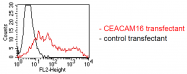 AM32984PU-N - CEACAM16