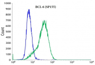 AM33213PU-S - Bcl-6