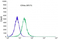 AM33214PU-S - CD16