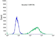 AM33215PU-M - Cytokeratin 5