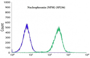 AM33222PU-S - Nucleophosmin