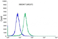 AM33223PU-S - FBXW7