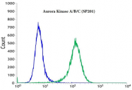 AM33229PU-S - Aurora kinase A/B/C