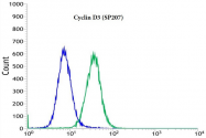 AM33231PU-S - Cyclin D3