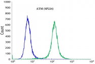 AM33235PU-S - ATM