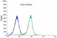 AM33237PU-M - PACAP type III receptor / VIP Receptor 2
