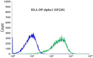 AM33239PU-S - HLA class II DP alpha chain / HLA-DPA1