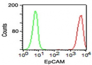 AM33243RP-S - CD326 / EPCAM / TACSTD1