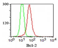 AM33344PU-T - Bcl-2
