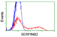 AM33399PU-N - SERPINB2 / PAI2