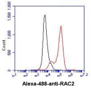 AM39043PU-N - RAC2