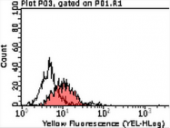 AM39092PU-N - CD111 / Nectin 1