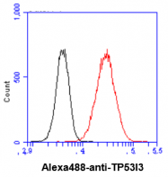 AM50012PU-N - TP53I3