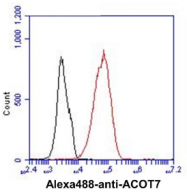 AM50031PU-N - ACOT7 / BACH