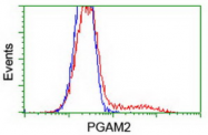 AM50090PU-N - PGAM2
