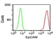 AM50137PU-S - CD326 / EPCAM / TACSTD1