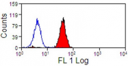 AM60042FC-N - CD329 / SIGLEC9