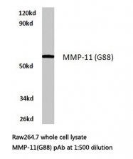 AP06225PU-N - MMP-11