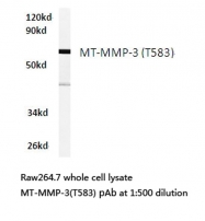 AP06229PU-N - MMP-16