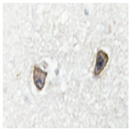 AP06589PU-N - TrkA