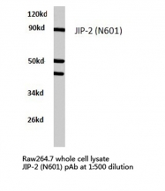 AP06724PU-N - JIP-2