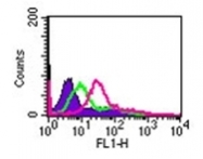 AP07161PU-N - Interleukin-24 / IL24
