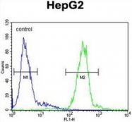 AP17259PU-N - Cathepsin H