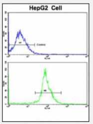 AP17540PU-N - TNF-beta / Lymphotoxin-alpha