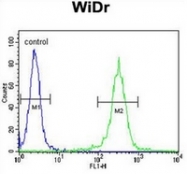 AP17895PU-N - ATP synthase subunit beta