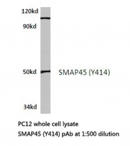 AP20235PU-N - HDAC3