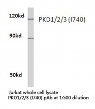 AP20263PU-N - PRKD1