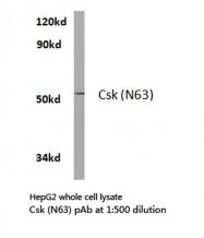 AP20417PU-N - CSK