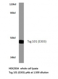 AP20455PU-N - TSG101