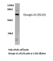 AP20548PU-N - TCEB3