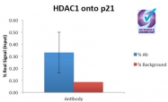AP31933PU-N - HDAC1