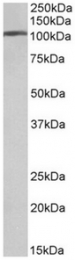 AP32069PU-N - AP2A1 / ADTAA